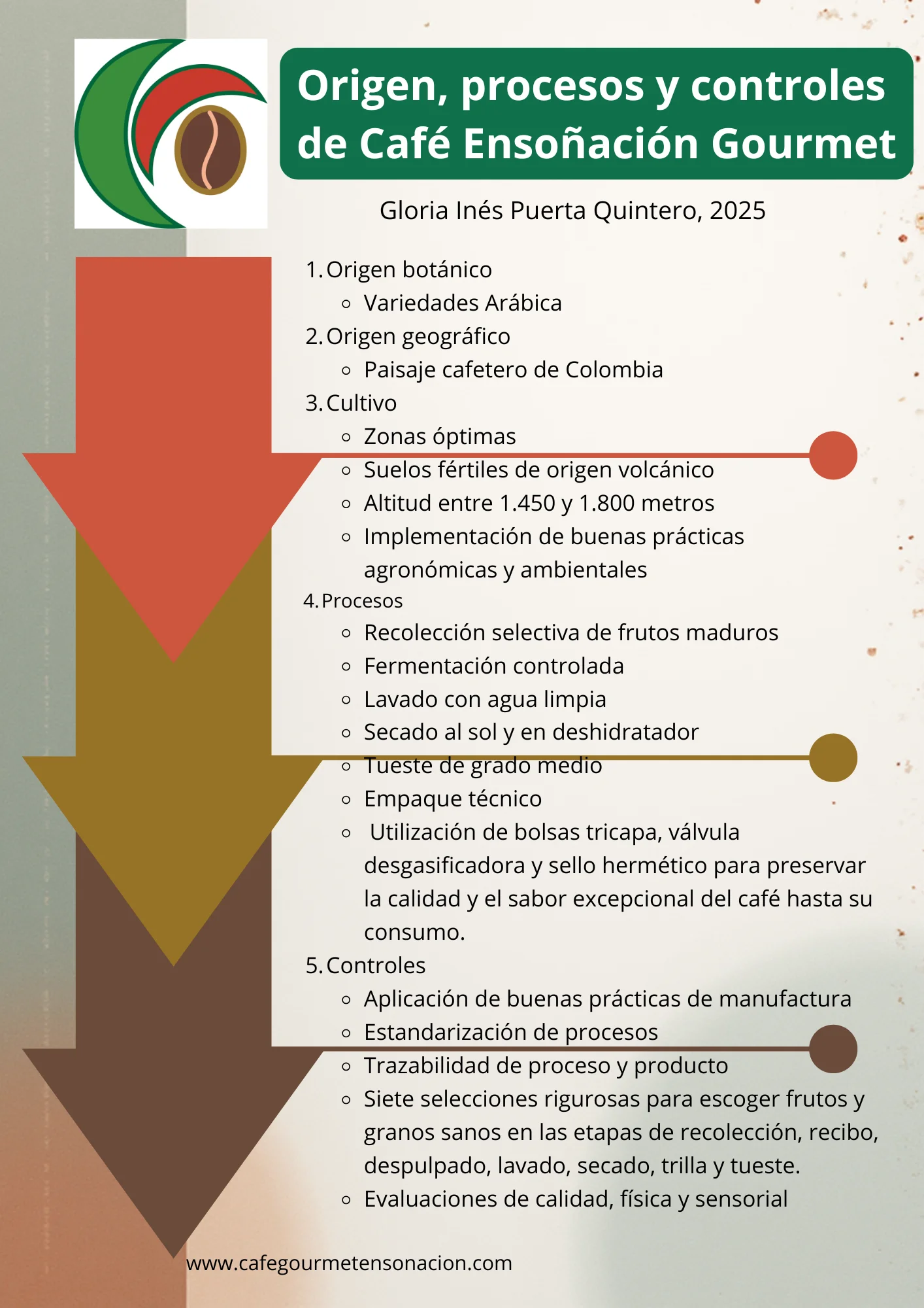 imagen de flujo de procesos de café ensoñación gourmet