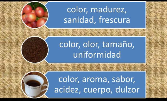 olor, olor, sabor, frescura del grano y bebida de café