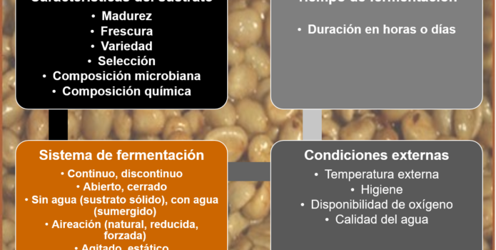 Los factores de la fermentación del café