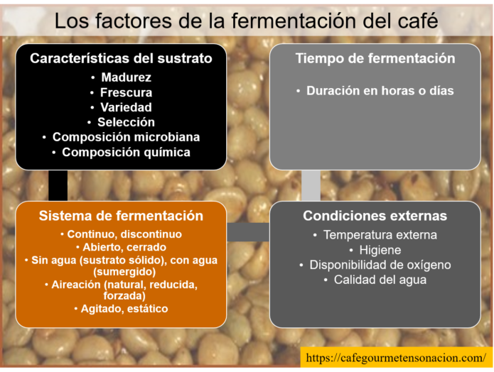 Sustrato, sistemas, temperatura y tiempo fermentación café