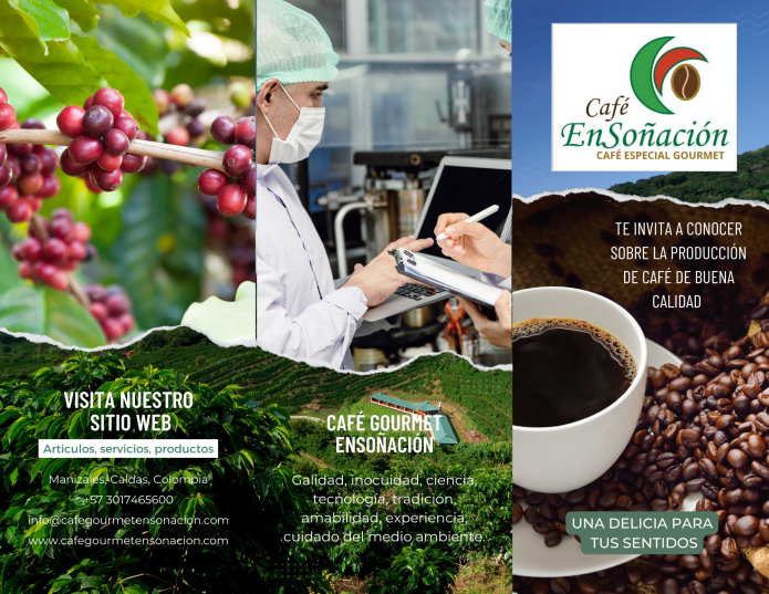 cafe ensoñación café especial gourmet te invita a conocer la producción del café de buena calidad