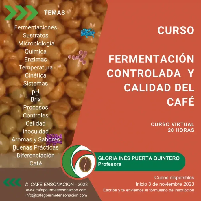 imagen curso fermentación cafe Ensoñación