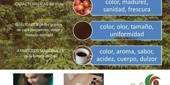 imagen la percepcion del café de buena calidad