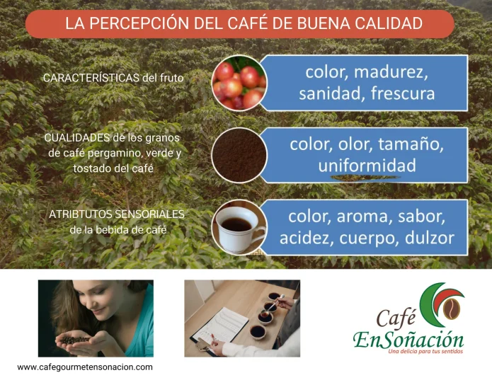 imagen la percepcion del café de buena calidad