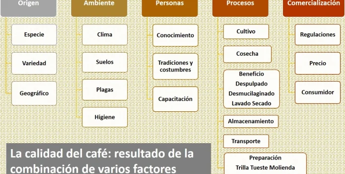 imagen diagrama de los factores ambiente, humanos y procesos de la calidad del café