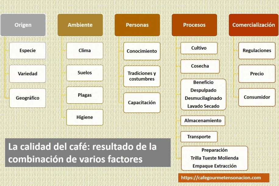 imagen diagrama de los factores ambiente, humanos y procesos de la calidad del café