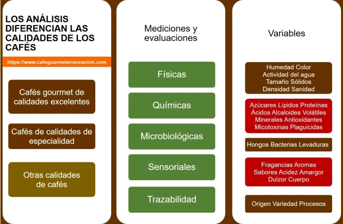 imagen esquema análisis, variables mediciones de la calidad del café