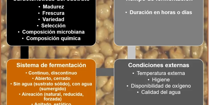 imagen los factores de la fermentación del café