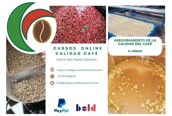 imagen curso aseguramiento de la calidad de café 4 videos café Ensoñación gourmet