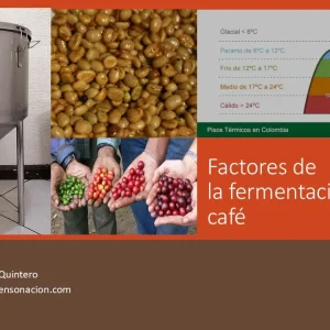 imagen factores de la fermentación del café en presentación en video