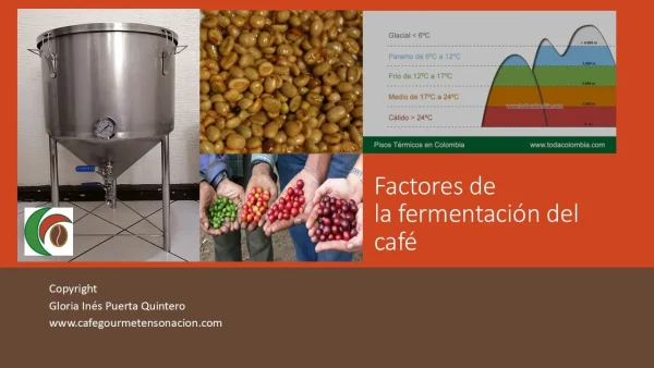 imagen factores de la fermentación del café en presentación en video