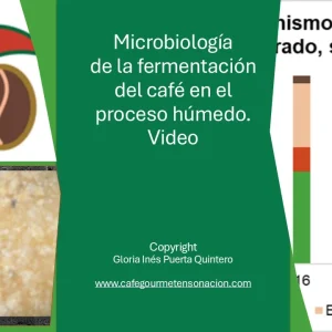 imagen para producto video presentación microbiologia de la fermentación del café en proceso húmedo. Café Ensoñación Gourmet