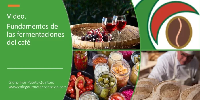 imagen del productos de la presentación en video fundamentos de las fermentaciones del café