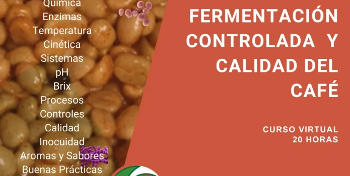 imagen de curso inicial fermentación cafe