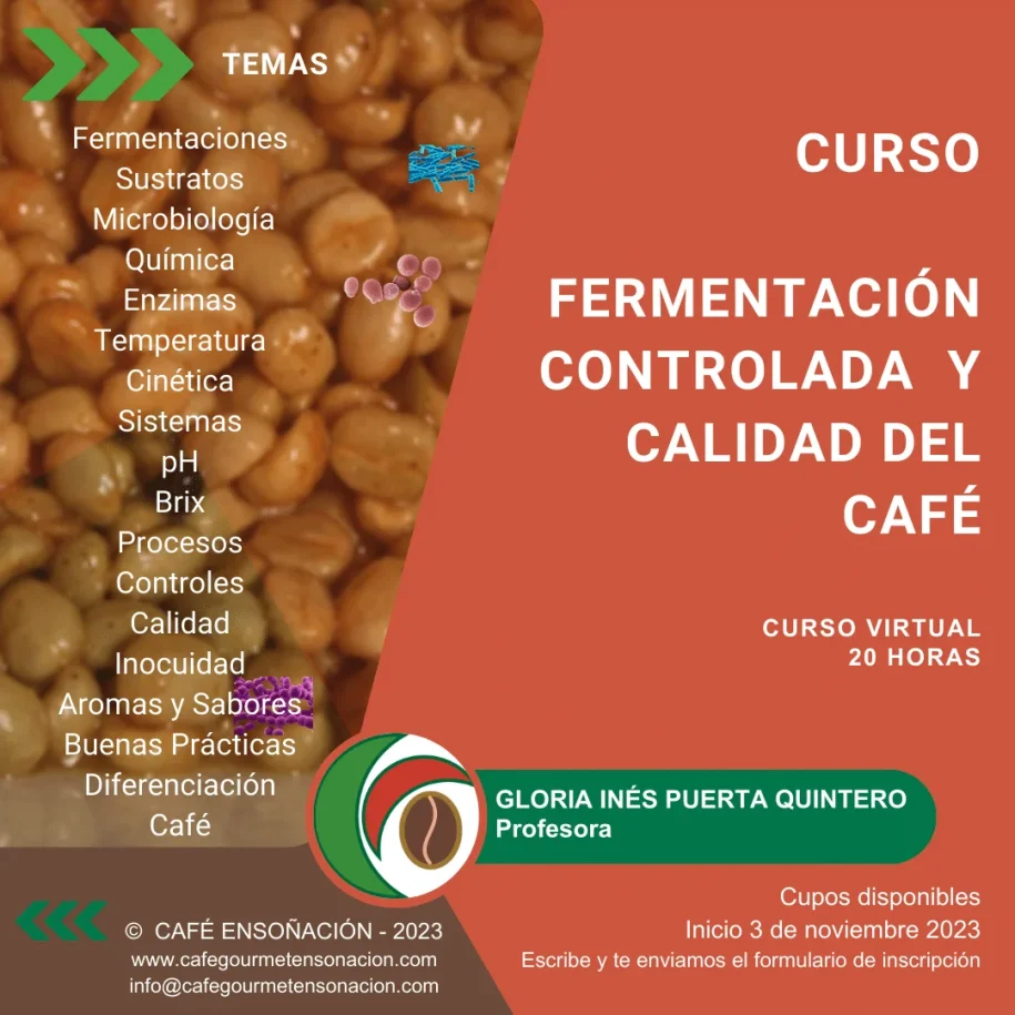 imagen de curso inicial fermentación cafe