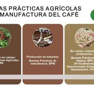 imagen de curso basico de calidad y fermentación del café