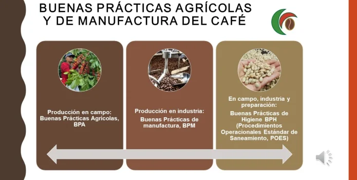 imagen de curso basico de calidad y fermentación del café
