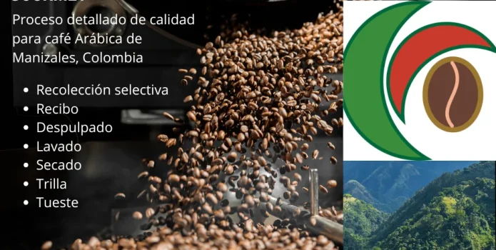 imagen del artículo las siete clasificaciones en la producción de café ensoñación gourmet