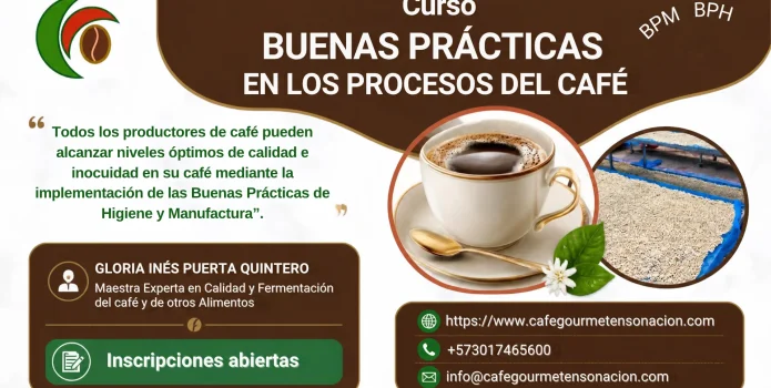 imagen del curso buenas prácticas del café