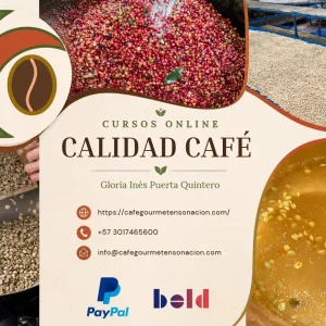 imagen de cursos online fermentación y calidad café