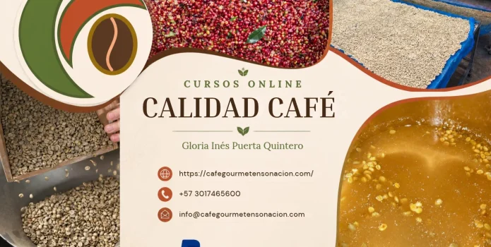 imagen de cursos online fermentación y calidad café