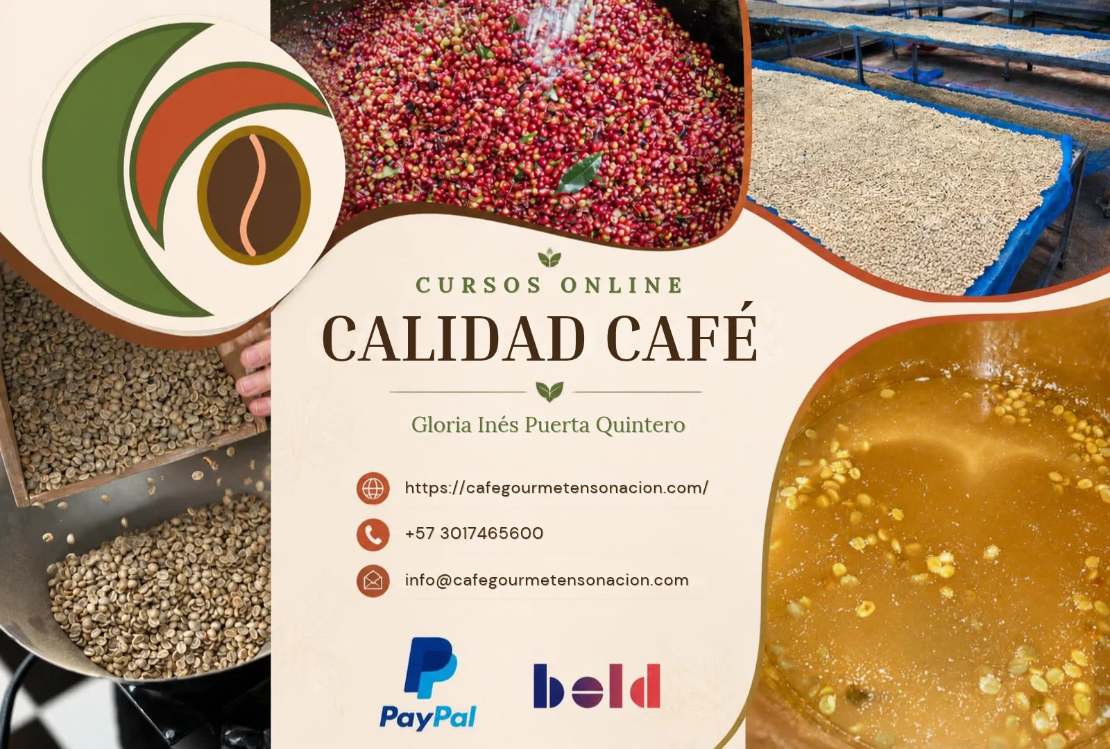 Curso intermedio online de fermentación y calidad del café